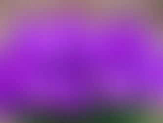 З прекрасним святом