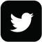 Twitter Square