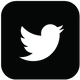 Twitter Black Square 