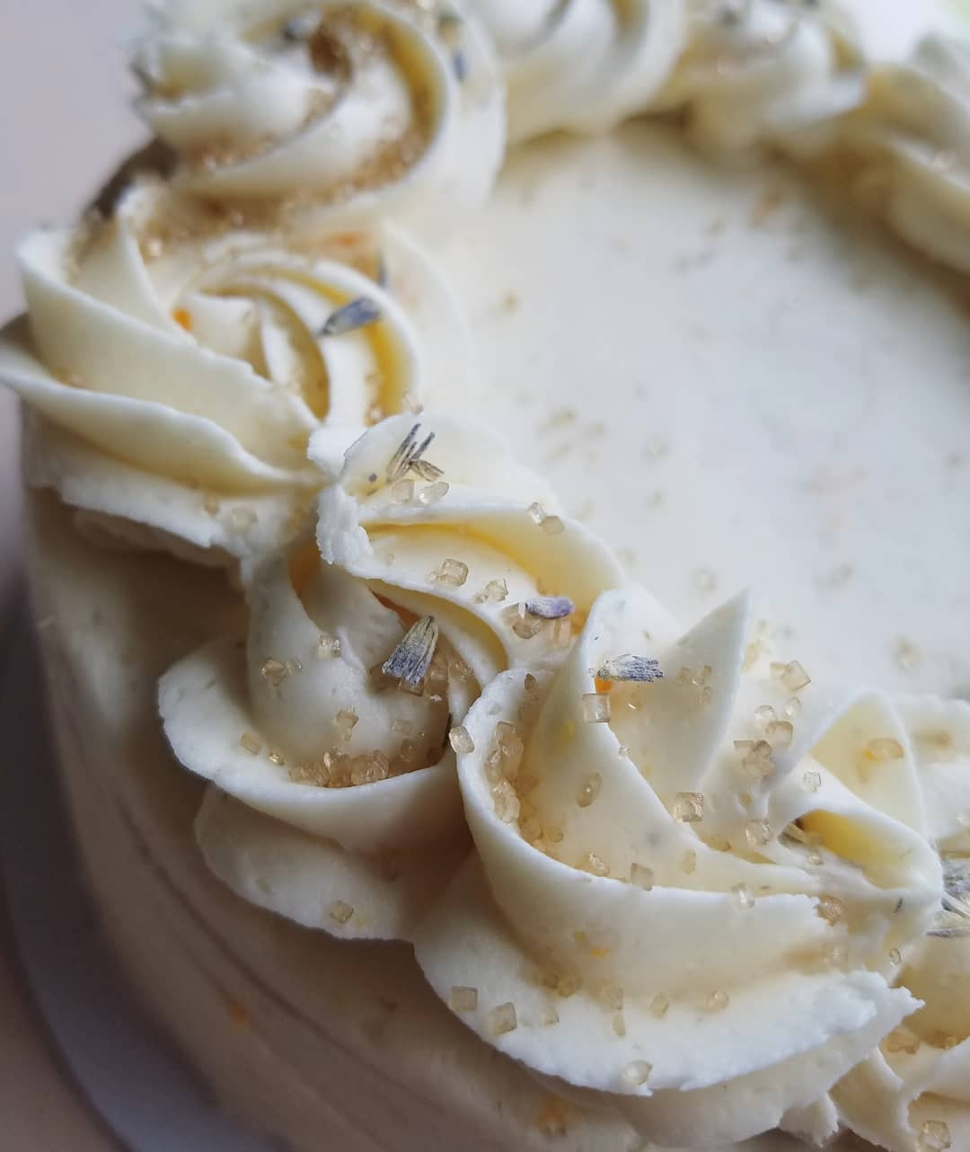 Black Squirrel Bake Shop