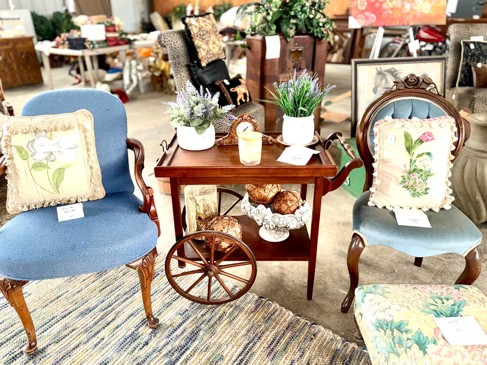 Vintage furniture and decor with plants on display.