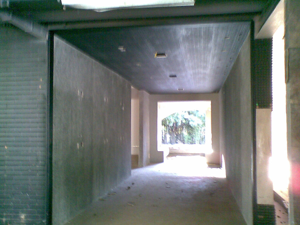 Antes 1