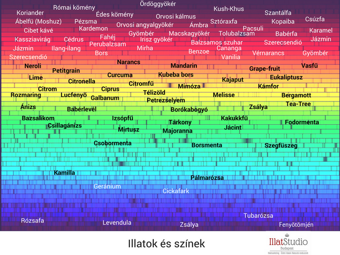 Illatok és színek.
