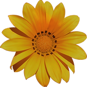 transparent-1678867_960_720.png