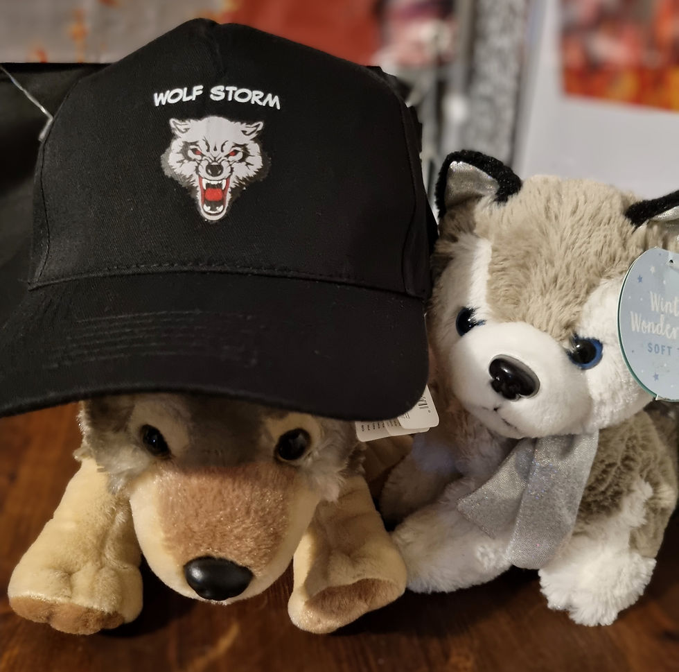 Thumbnail: WOLF STORM HAT