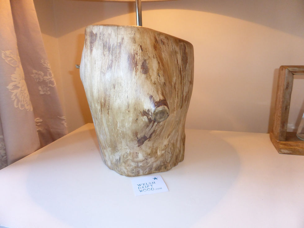 Thumbnail: Driftwood Birch Lamp
