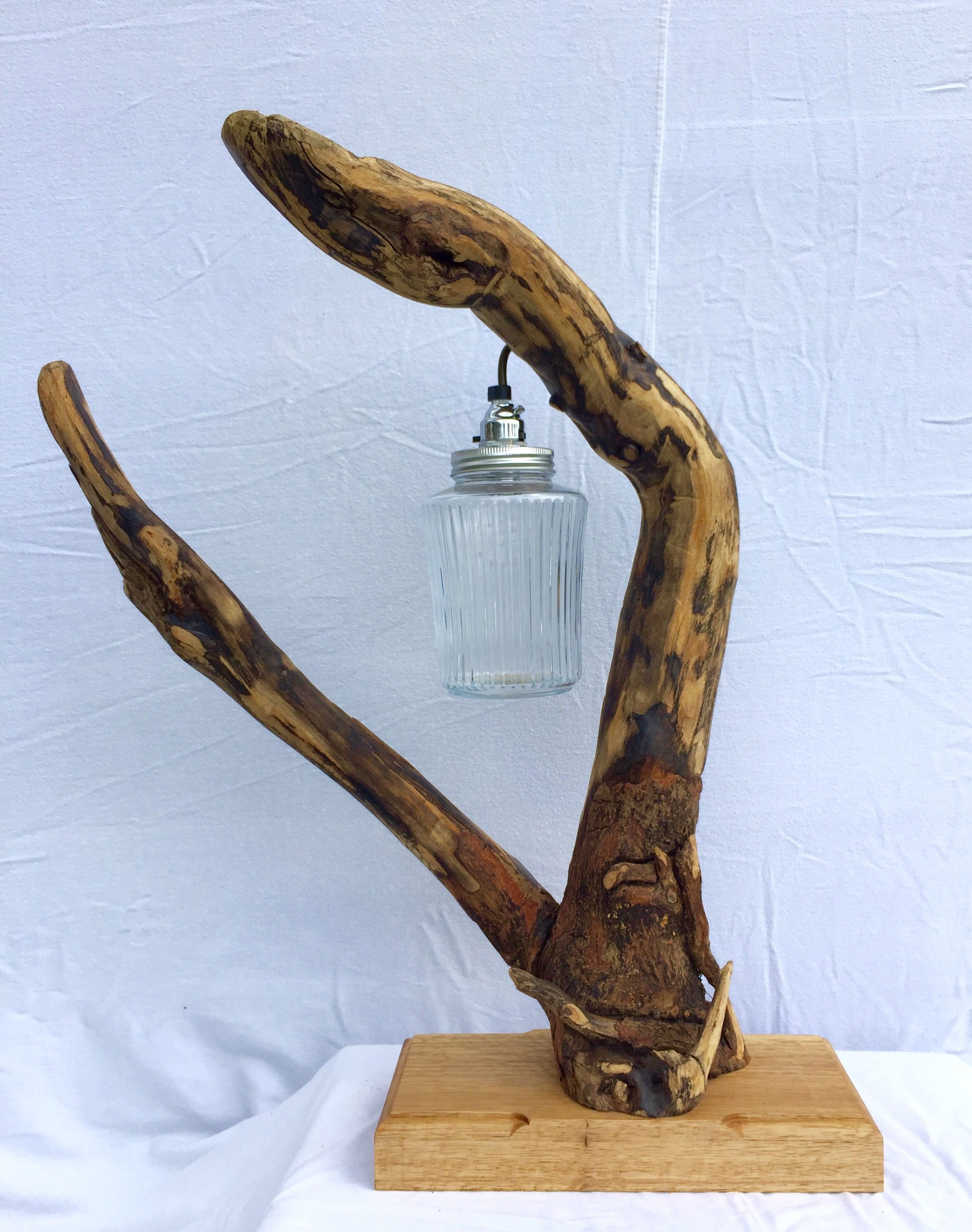 Curved Driftwood Jam Lamp