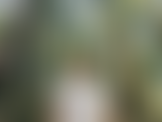 Blog 11: De zomer voorbij en jaar 2 in Canada.