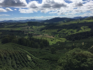 Fazenda Condado Santa Rita do Sapucaí