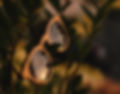 óculosdemadeiradecafe-26_edited.jpg