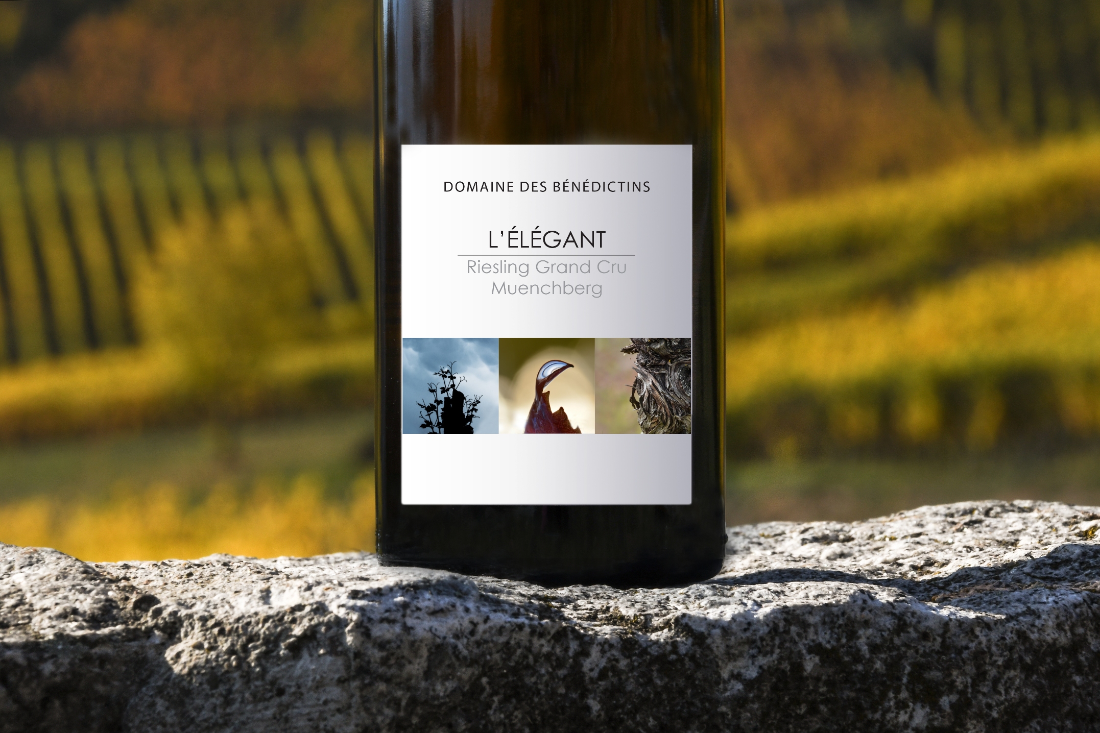 Création Etiquette de Vin