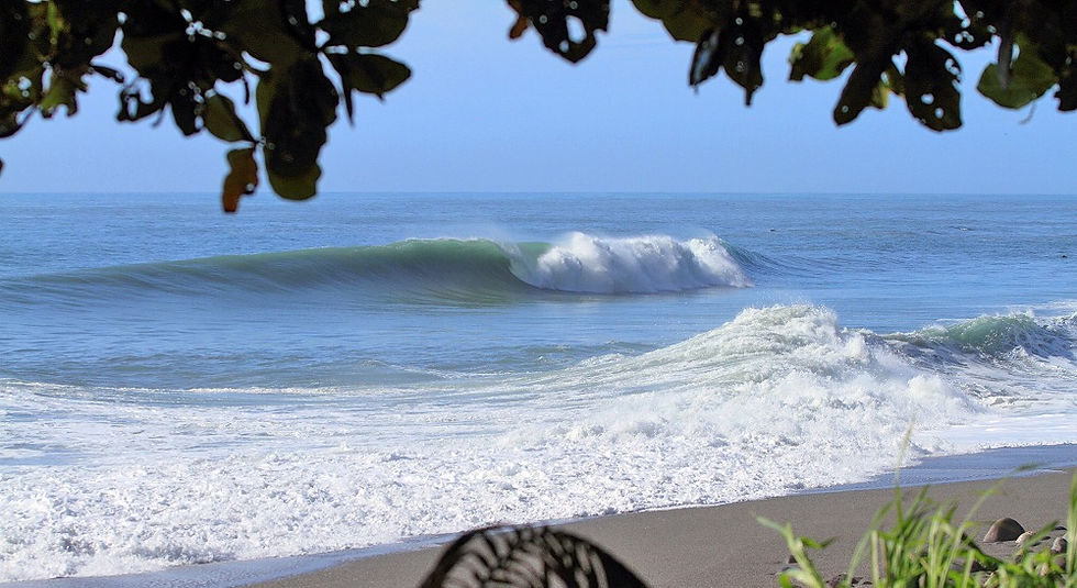 Miniaturbild: Taiwan Surf Explorer