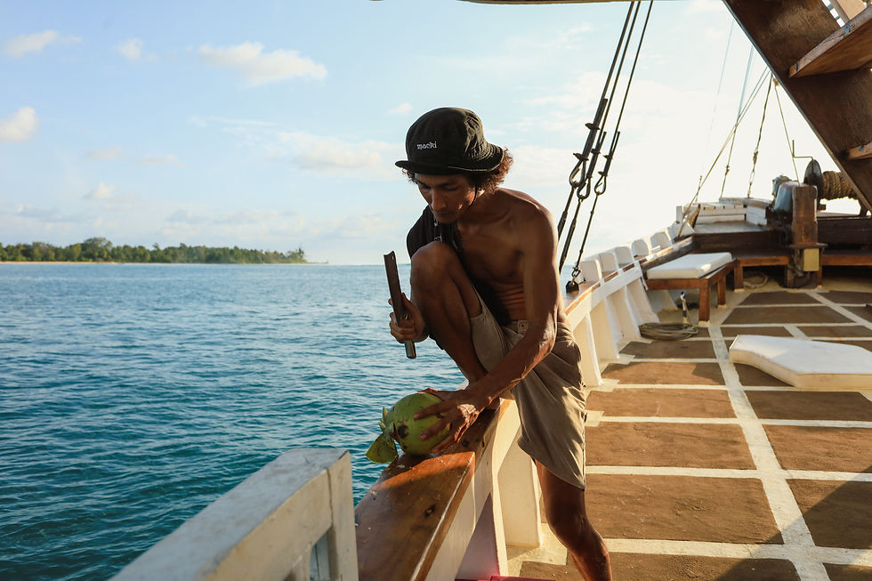 Miniaturbild: Indonesien - Mentawai Maki Boattrip
