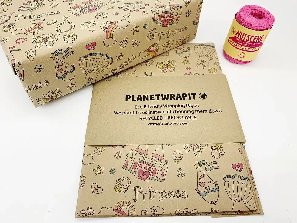 Wrapping Paper - Princess