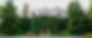 FacebookBanner.jpg