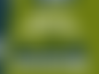 Meet our Community: Stacy