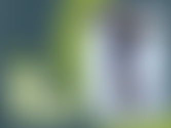 Team Highlight: Megan