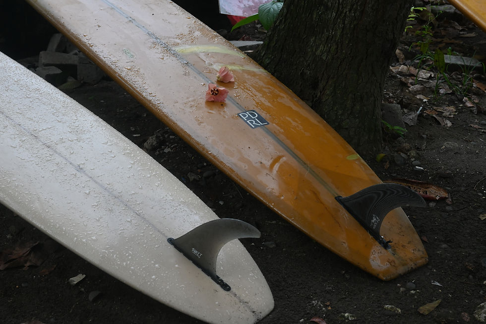 Log hire- 100-150K per day (6-10 euros)