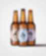 Bierflaschen-Mockup.jpg