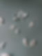 Tezza-8874.JPG