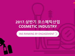 2017 상반기 화장품 산업 버즈 리포트