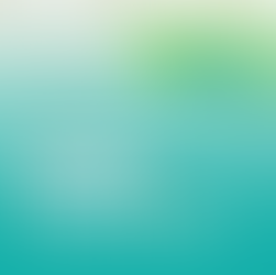 신세시오 케이스 스터디: 구글 리뷰를 ‘인사이트’로 바꾸다