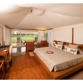 superior-tent-khem-villas-8500745.jpeg