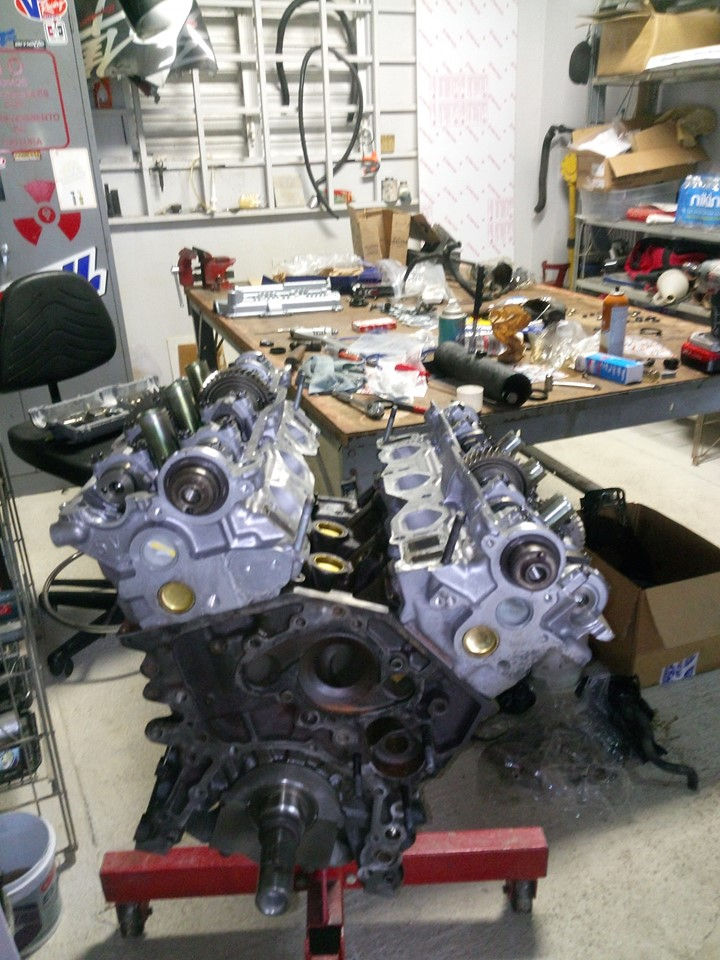 60516575_10157361413355979_7356890837558
