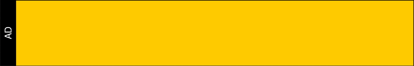 Nick and Marty show bg_2.gif