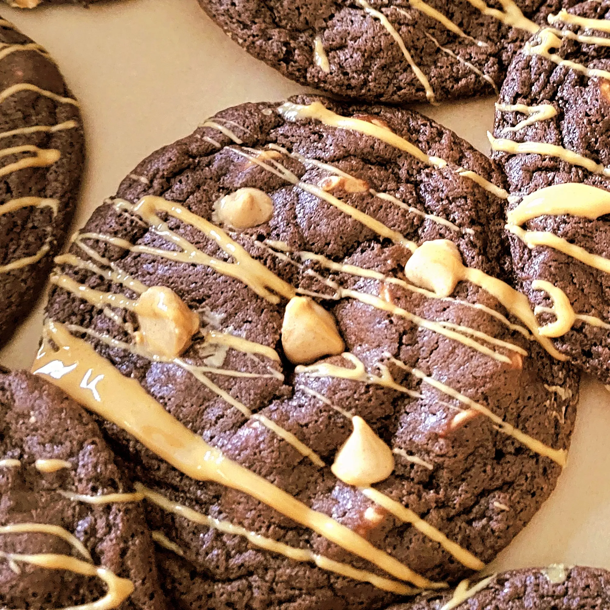 Chocolate Peanut Butter Cookies