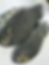 Thumbnail: Used Alpinestars Tech 10 Boots // Size 10