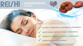 REISHI Ganoderma Lucidum