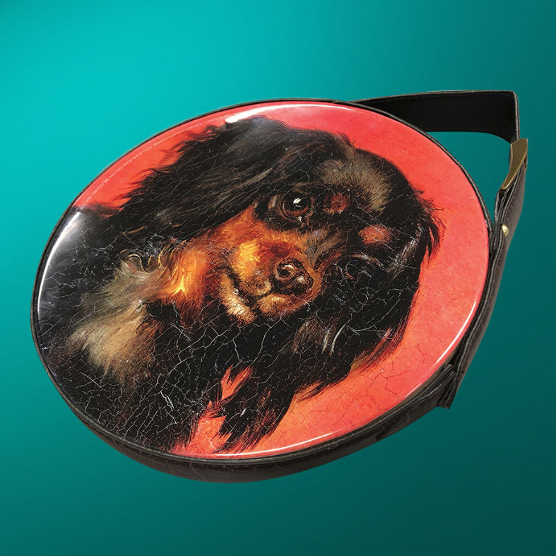 Thumbnail: Portret van een hondje
