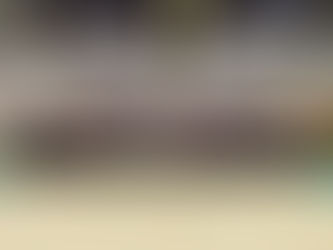 第28回 早慶合氣道定期競技会