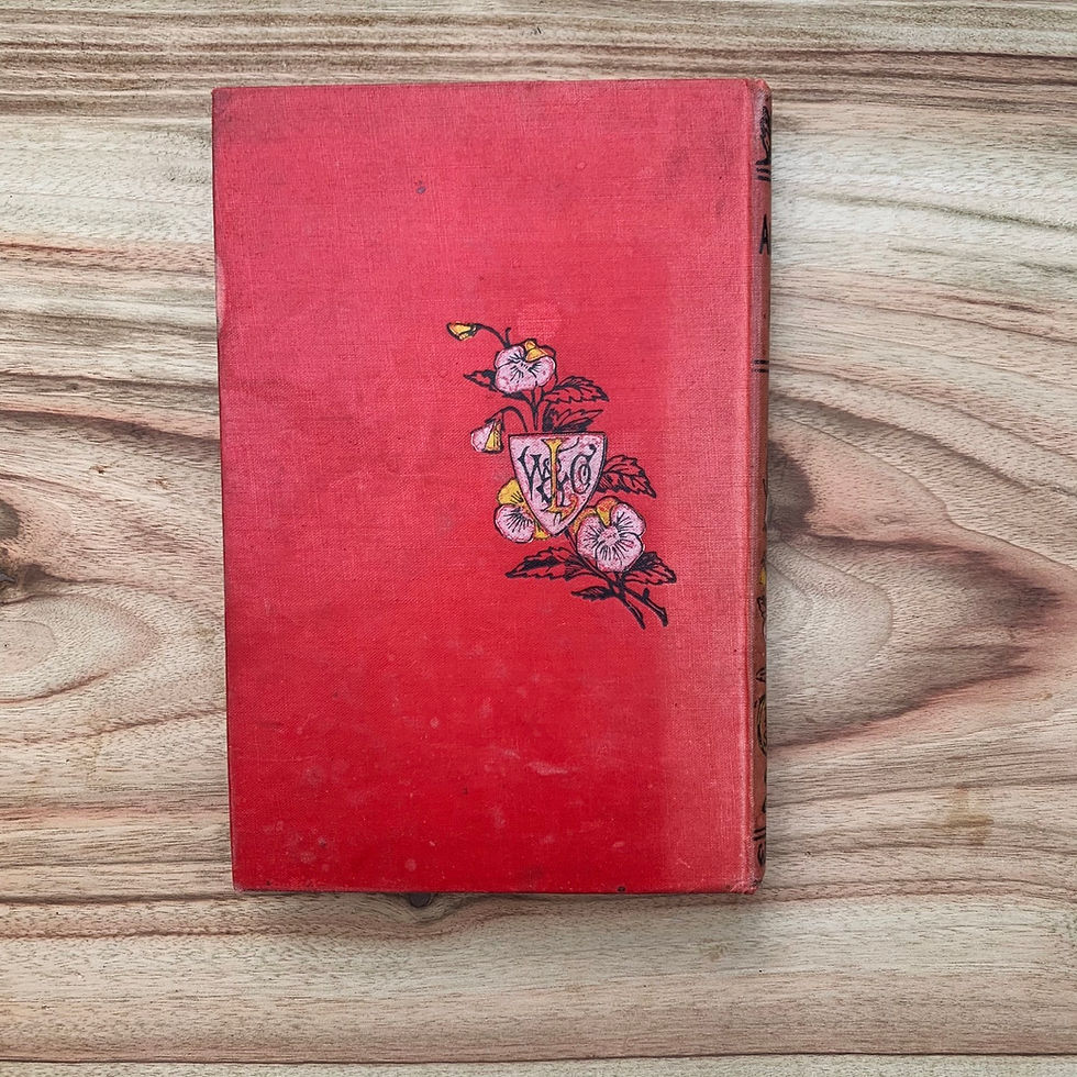 Thumbnail: Aunt Jane’s Hero - Folding Book Lamp
