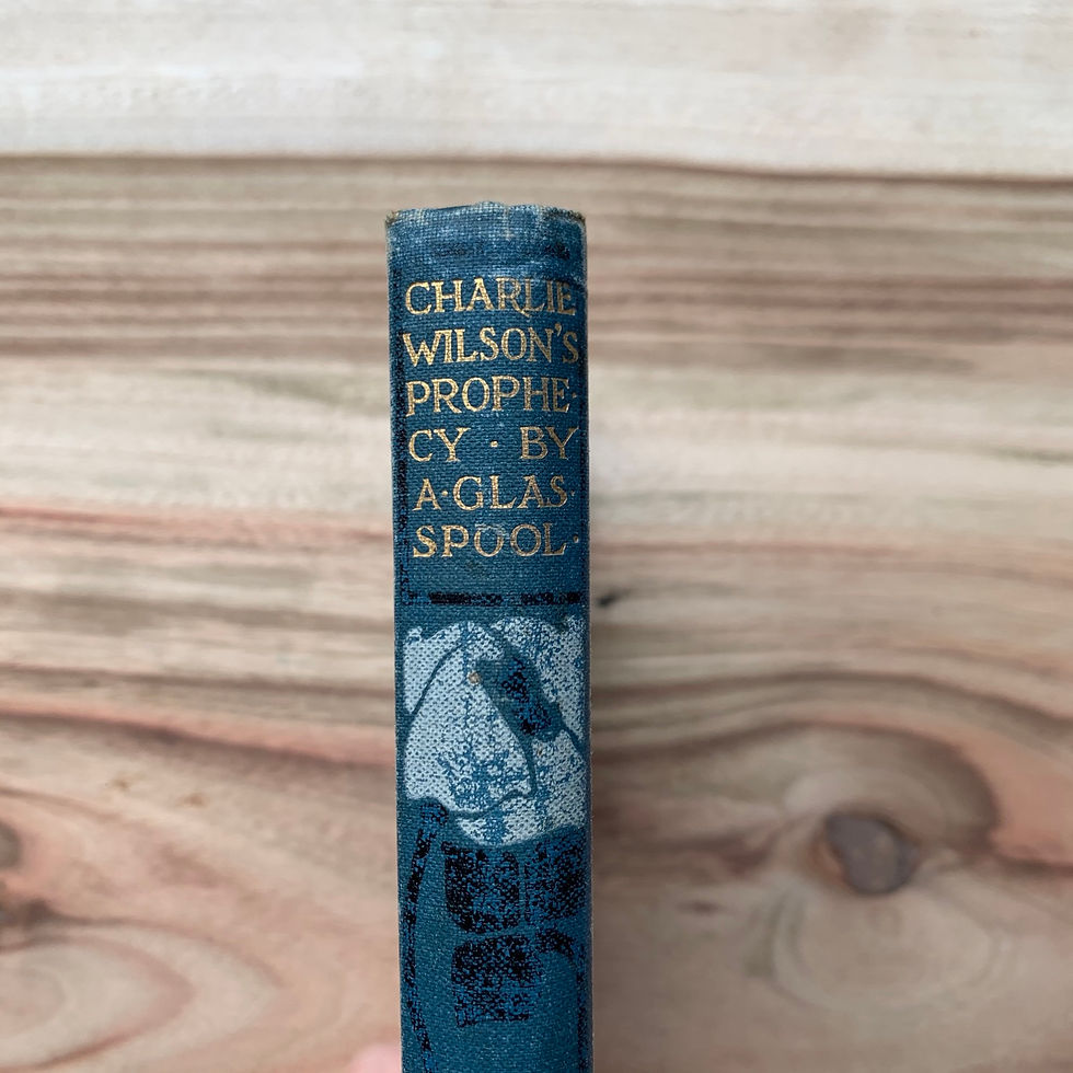 Thumbnail: Charlie Wilson’s Prophecy - Folding Book Lamp 