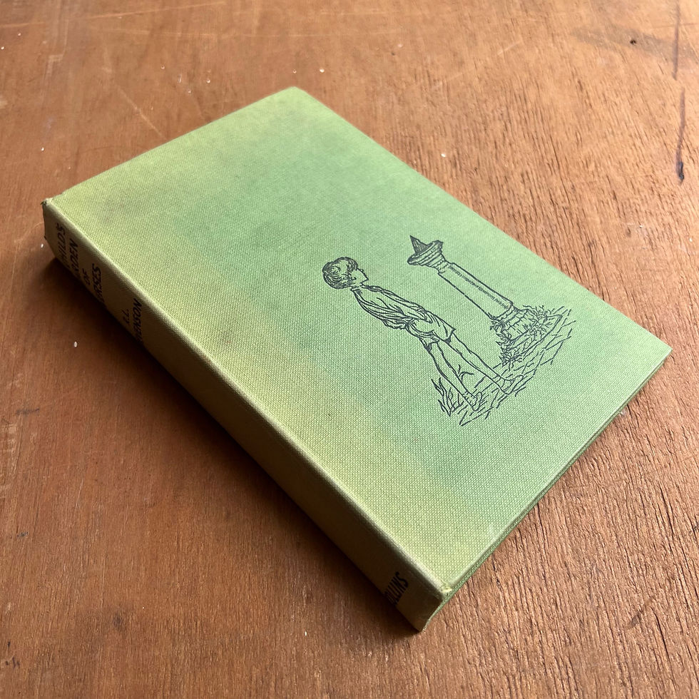Thumbnail: A Children’s Garden of Verses - R.L. Stevenson - Folding Book Lamp