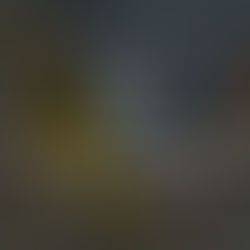 Grid Certainty: De-Risking the 1GW Chicago TSA