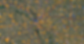 Nationwide Capacity Data.png