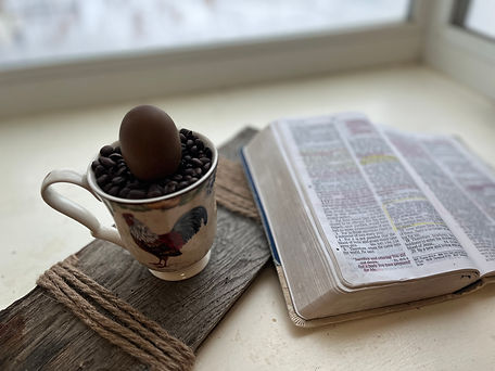 coffee coloured egg