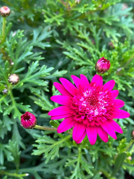 訪問美容・掲示板③③