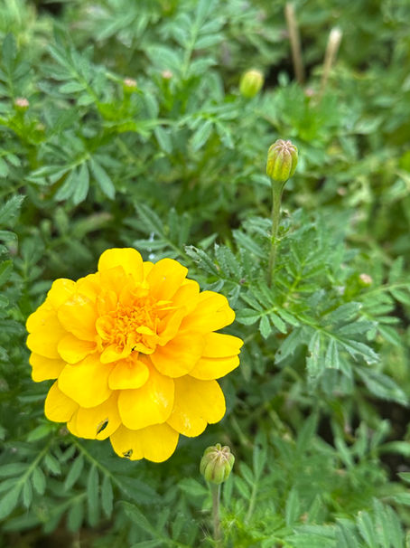 訪問美容・掲示板⑤⑥