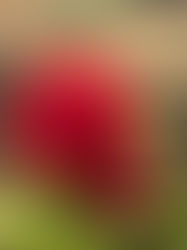 訪問美容・掲示板⑤⑦