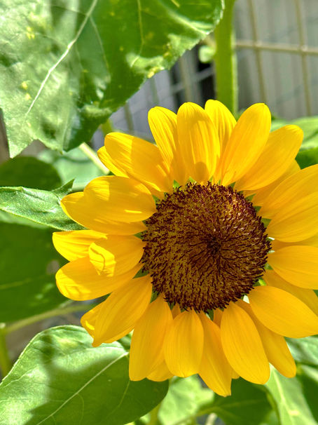 訪問美容・掲示板②④