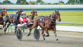 Big numbers and confidence around House runners at Manawatu