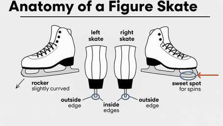תרשים חינוכי מתויג של החלקה אמנותית המציג חלקים כגון פיקר הבוהן, נקודת המתוקה, הנדנדה וקצוות הלהב.