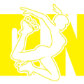 ICE PRO ZONE LOGO