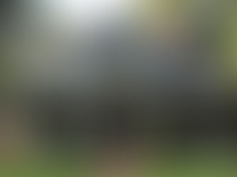 Selecting Ideal Exterior Paint Colors Based on Architectural Style