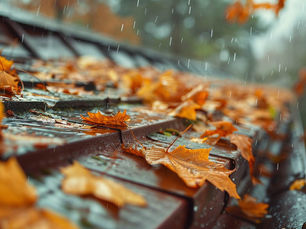 How Allergies Affect Your Gutters