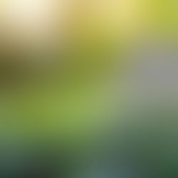 4 Tips to Boost Your Home’s Energy Efficiency